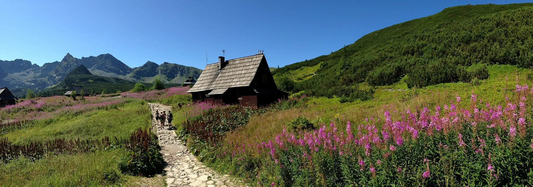 Tatry i Zakopane w pobliżu Rezydencji Zakopiańskiej